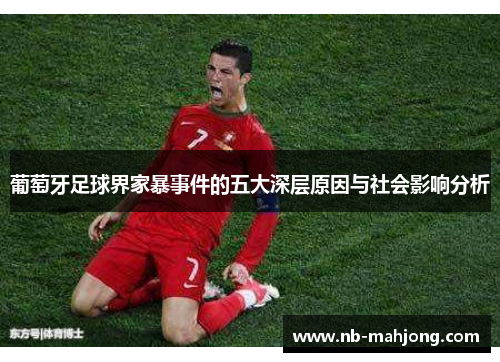葡萄牙足球界家暴事件的五大深层原因与社会影响分析 葡萄牙足球界家暴事件的五大深层原因与社会影响分析