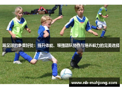 踢足球的多重好处：提升体能、增强团队协作与培养毅力的完美选择