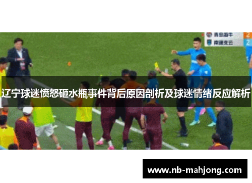 辽宁球迷愤怒砸水瓶事件背后原因剖析及球迷情绪反应解析