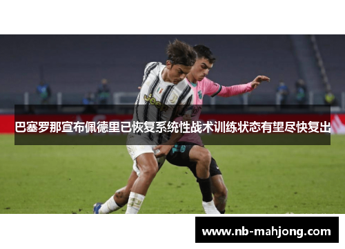 巴塞罗那宣布佩德里已恢复系统性战术训练状态有望尽快复出